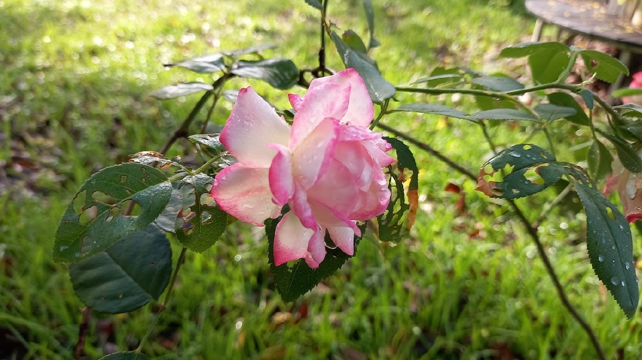 20210601_072437.jpg